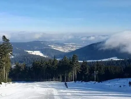 Indywidualne Pod Czeremchą Małgorzata Szczepanek Stronie Śląskie