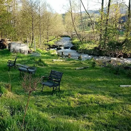 Indywidualne Gosciniec Pod Czeremcha Malgorzata Szczepanek 住宿加早餐酒店 3*