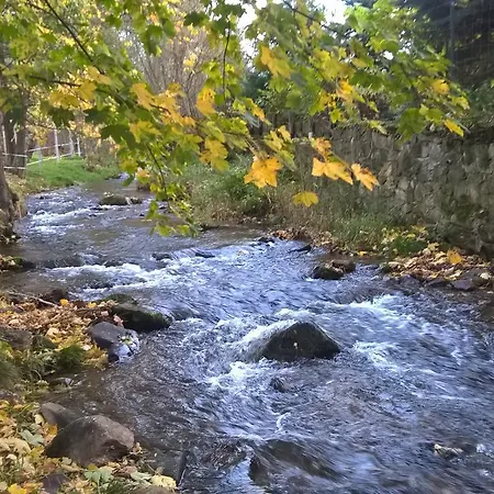 Nocleg ze śniadaniem Indywidualne Pod Czeremchą Małgorzata Szczepanek Stronie Śląskie