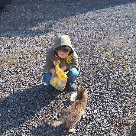 Indywidualne Pod Czeremchą Małgorzata Szczepanek Nocleg ze śniadaniem Stronie Śląskie