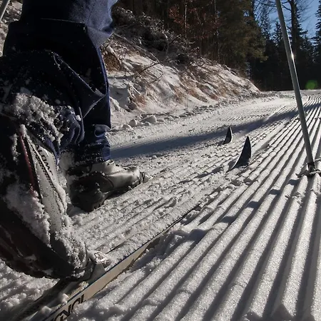 Indywidualne Pod Czeremchą Małgorzata Szczepanek Stronie Śląskie