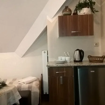 Indywidualne Gosciniec Pod Czeremcha Malgorzata Szczepanek 住宿加早餐酒店