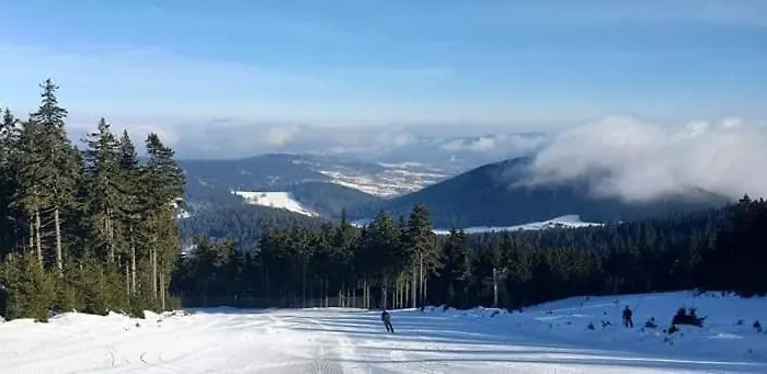 Indywidualne Gosciniec Pod Czeremcha Malgorzata Szczepanek Stronie Śląskie