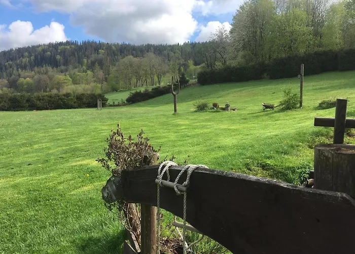 Indywidualne Gosciniec Pod Czeremcha Malgorzata Szczepanek Bed & Breakfast 3*