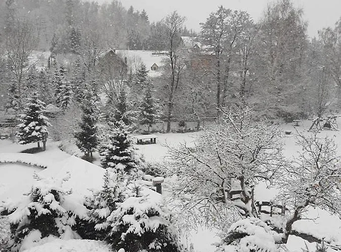 Indywidualne Gosciniec Pod Czeremcha Malgorzata Szczepanek Bed & Breakfast Stronie Śląskie
