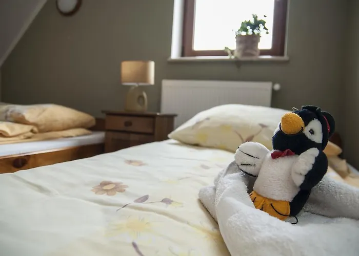 Bed & Breakfast Indywidualne Gosciniec Pod Czeremcha Malgorzata Szczepanek