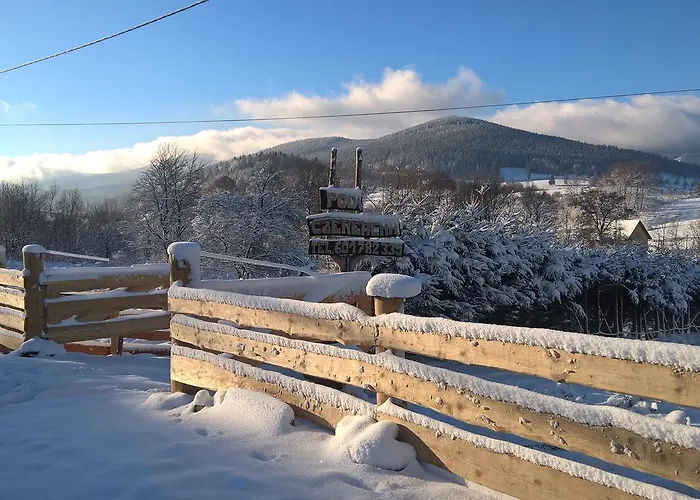 Indywidualne Gosciniec Pod Czeremcha Malgorzata Szczepanek Bed & Breakfast Stronie Śląskie