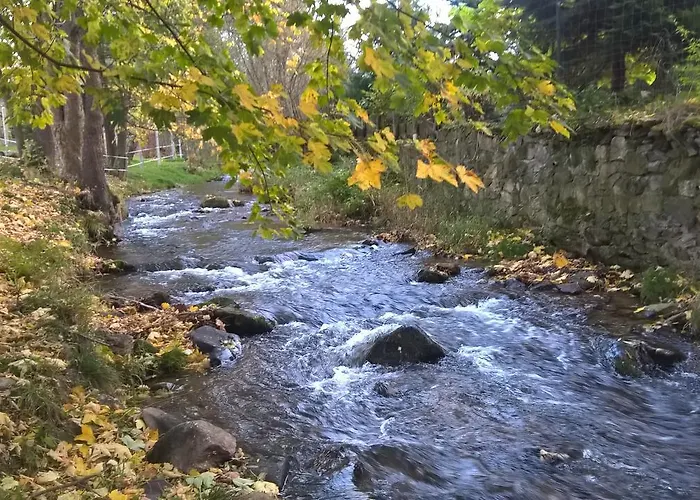 Bed & Breakfast Indywidualne Gosciniec Pod Czeremcha Malgorzata Szczepanek Stronie Śląskie