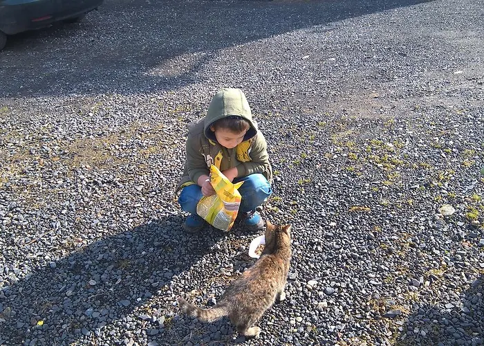 Indywidualne Gosciniec Pod Czeremcha Malgorzata Szczepanek Bed & Breakfast Stronie Śląskie