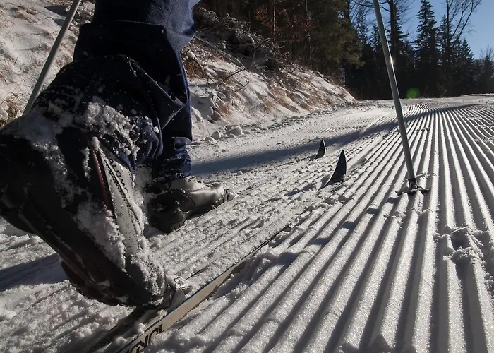 Indywidualne Gosciniec Pod Czeremcha Malgorzata Szczepanek Stronie Śląskie